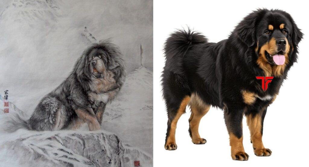 Do Khyi Dog: The Majestic Tibetan Guardian Breed Known for Strength, Loyalty, and Ancient Heritage Do Khyi Dog
