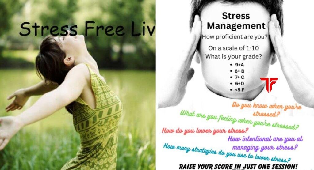 Free Stresser: What It Is, How It Works, and What You Should Know Before Using One Free Stresser